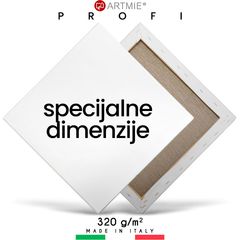 Slikarsko platno na ramu PROFI ARTMIE / specijalne veličine