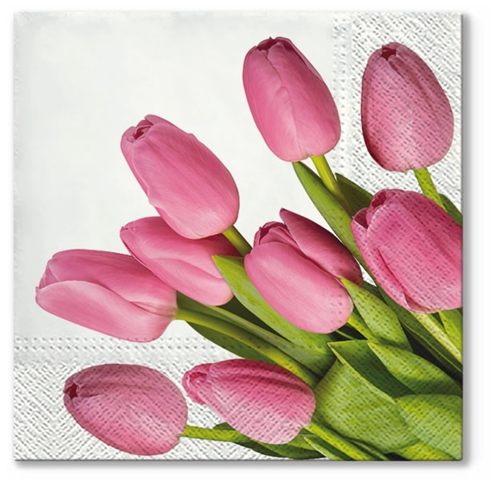 Salvete za dekupaž Lovely Tulips - 1 komad