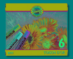 Suve pastele TOISON D OR -  6 kom